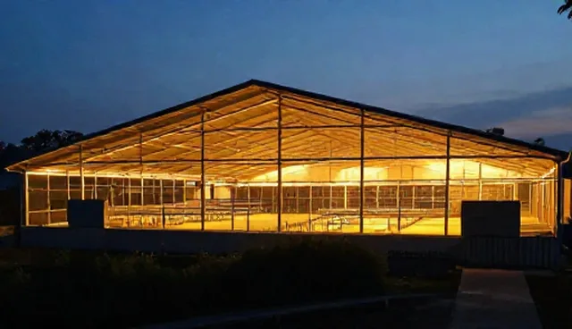 用户需求与能力建设：数字营销中的理解偏差